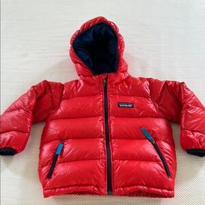 Patagonia Vibrant Red Puffer Jacket with Blue Accents
